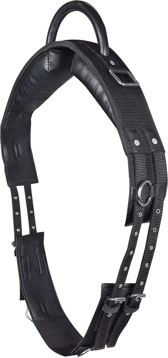 KANTRIE Longiergurt Shetty Handgriff schwarz 4057962130432 V01 KANTRIE Longiergurt Shetty Handgriff schwarz 4057962130432 V01